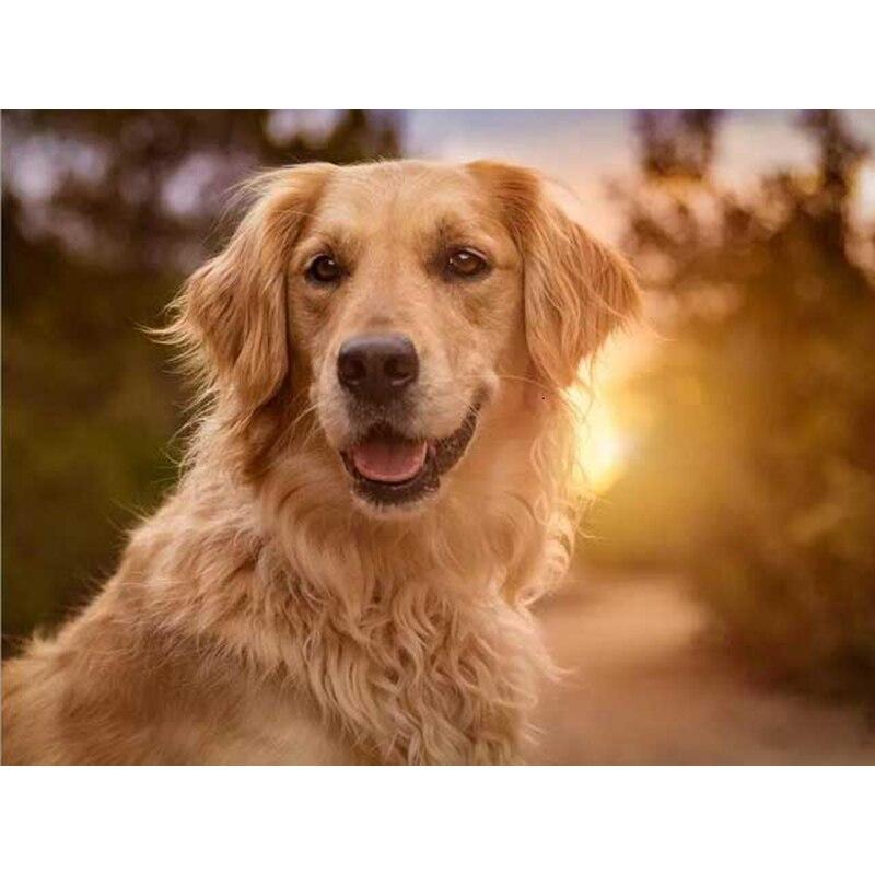 5D DIY Алмазная картина Набор Собака Искусство Алмазная вышивка Стразы Украшения для дома