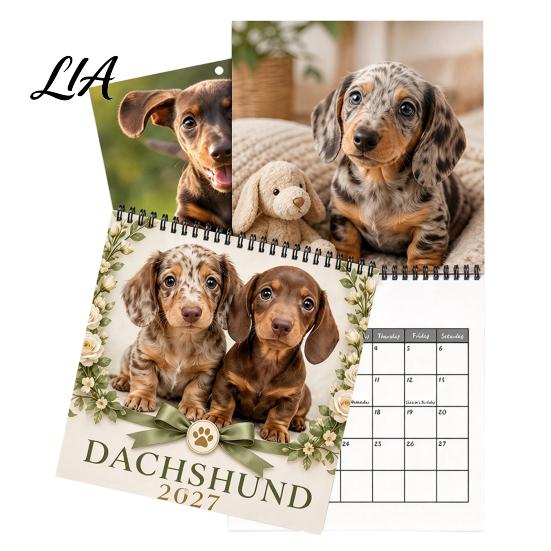Daily Task Tracker 2027 Dachshund Dog Wall Calendar, 12 Month Hanging Planner, Jan Themed Decor 2027-Dec Theme Calendar for Home Office Organizing