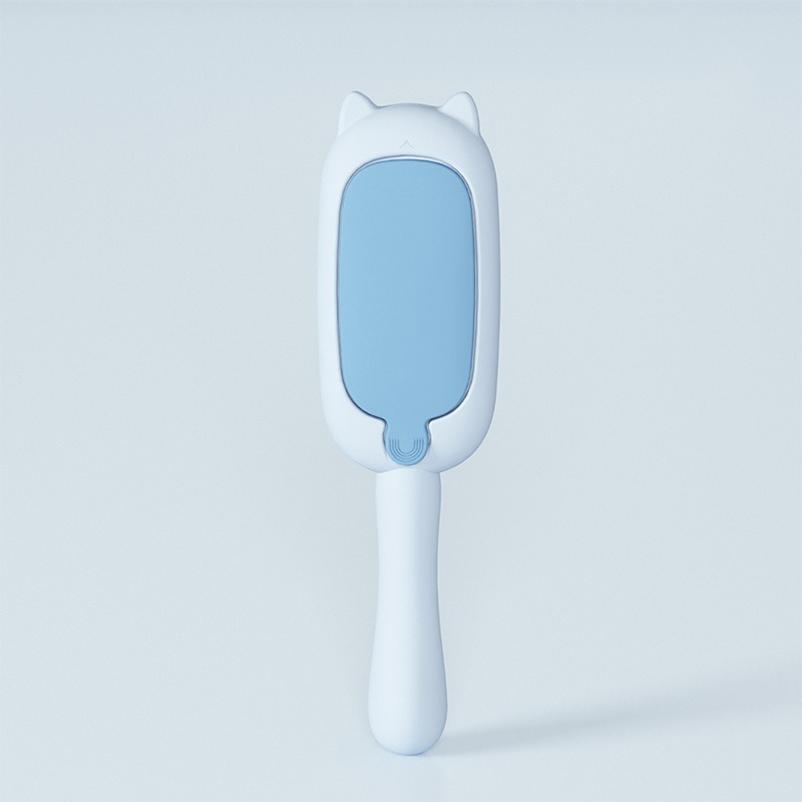 New Pet Bidirectional Adhesive Brush Sofa Carpet Clothing Portable Cute Little Raccoon Brush