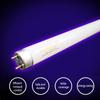 Replacement Uv Bulbs Bl Lamp Tubes Nail Dryer T5 Socket 4W 6W 8W For Mosquito Fly Pest Killer Trap Catcher