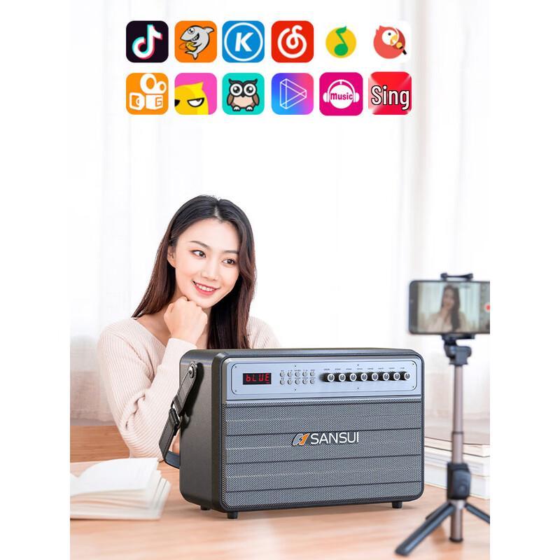 SANSUI G17 Portable KTV Bluetooth Speaker