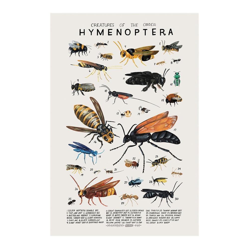 Абстрактные морские организмы медузы киты кальмары рыбы постеры холст картины и принты настенное искусство картина для комнаты домашний декор