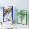 16x21cm DIY Handicraft Frame Aquascape Display Transparent Acrylic Hollow Photo Frame
