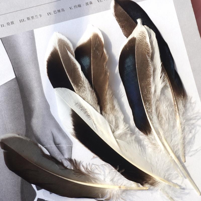 Primary Color Pheasant Hair Duck Feathers Handicrafts Indian Headdress Decorative Materials