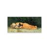 Winslow Homer Art Print The New Novel Figurative Wall Decor Poster Modern Art Poster Canvas Painting Bedroom Decor