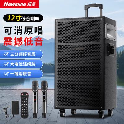 Портативная Bluetooth-колонка Newmine N550 12 дюймов с микрофоном, штекер CN (адаптер в комплекте)
