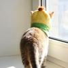 Funny Winter Dog Cap Warm Cat Head Cover Portable Dog Headdress  Outdoor