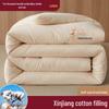 Yuxian Xinjiang Cotton All-Season Duvet