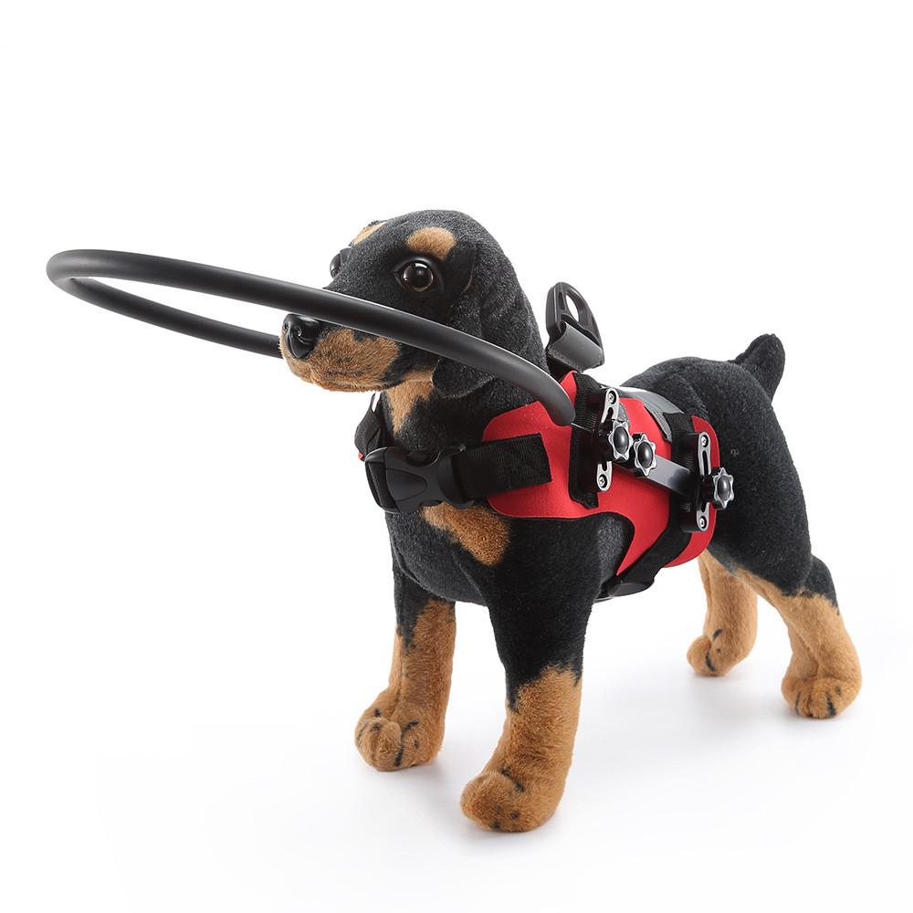 Dog Safety Preventive Ring For Blind Or Aging Dogs With Reinforced Polyester For All Seasons