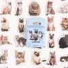 Наклейки для селфи «Котёнок Мо Мо»: Милые DIY наклейки с котиками для дневников, чехлов для телефонов и декора.