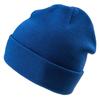 Iguana Unisex Adult Seine Winter Hat