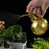 500ml Metal Watering Can for Indoor Plants Vintage Mister Spray Bottle Gardening Spraying Can Spritzer Bottles