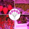 Set of 5 LED plant bulbs Heckermann 200LED 18WLED - 20W + Holder
