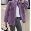 Winter Stand-up Collar Fleece Thickened Warm Zipper Jacket Casual Zipper Cardigan Coral Fleece Sweater Women