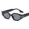 Casual Cat Eye Sunglasses Women Men Classic Sun Glasses Female Male Designer Retro Fashion Outdoors Shades