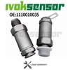 Limiter Pressure Valve 1110010035 For Diesel Spare Parts Common Fuel Rail Pressure Limited Valve 1 110 010 035