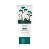 ROUND LAB For Men Pine Soothing Cica Cream 75ml