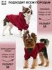 Одежда для домашних собак Пуговица Четырехлапая Спортивная Уличная Толстовка