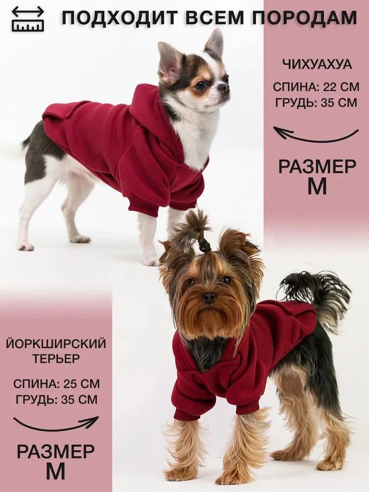 Одежда для домашних собак Пуговица Четырехлапая Спортивная Уличная Толстовка