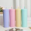 1pc Plastic Straw Cup Double-Layer Water Bottles Coffee Cup Reusable Hard Plastic Tumbler With Lid Drinkware Gift