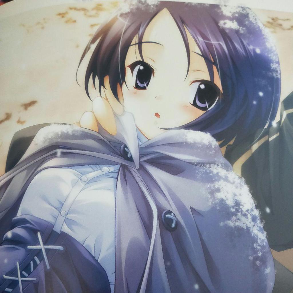 [USED] Super rare book, art book, strategy guide, visual fan book, Yunohana L's Season, 4 volumes