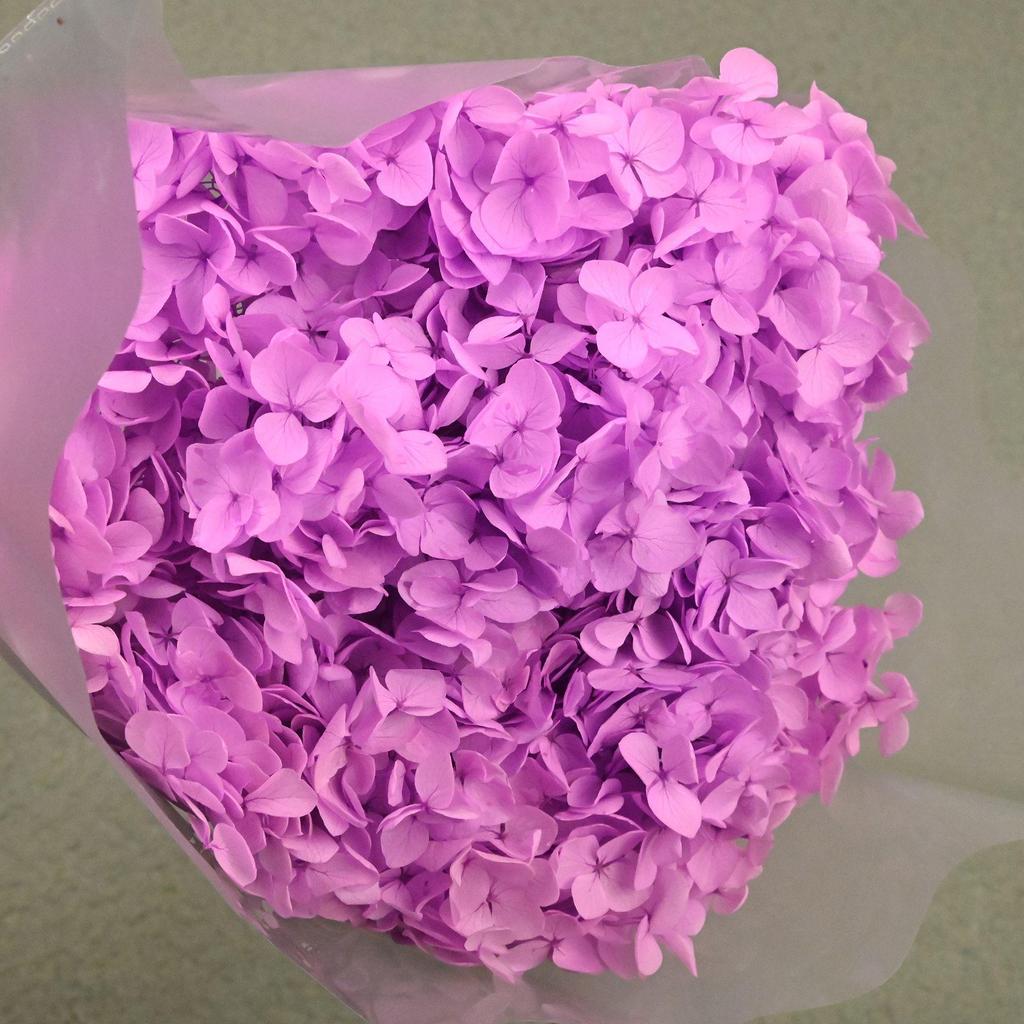 Phantom Flower: Single 20CM Preserved Hydrangea, Handmade Dried Bouquet for Decoration
