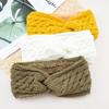 New In Plush Thick Wool Knitting Sports Headband Autumn Ear Protection Ear Warmer Women Thermal Insulation Cold Proof Head Cover