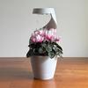 Горшок для полива «Облако» со скрытым поддоном для дренажа Самополивающийся горшок с эффектом медленной капели Дождевой эффект Современный настольный цветочный горшок для суккулентов, трав Домашний