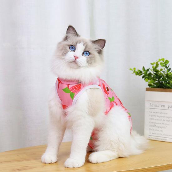 Костюм для отлучения кошек от груди с принтом, четырехногий, полиэстер, антилизующий послеродовой костюм для домашних животных