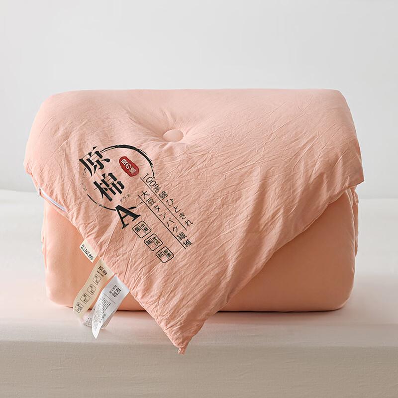LISM Soy Fiber Thickened Winter Duvet