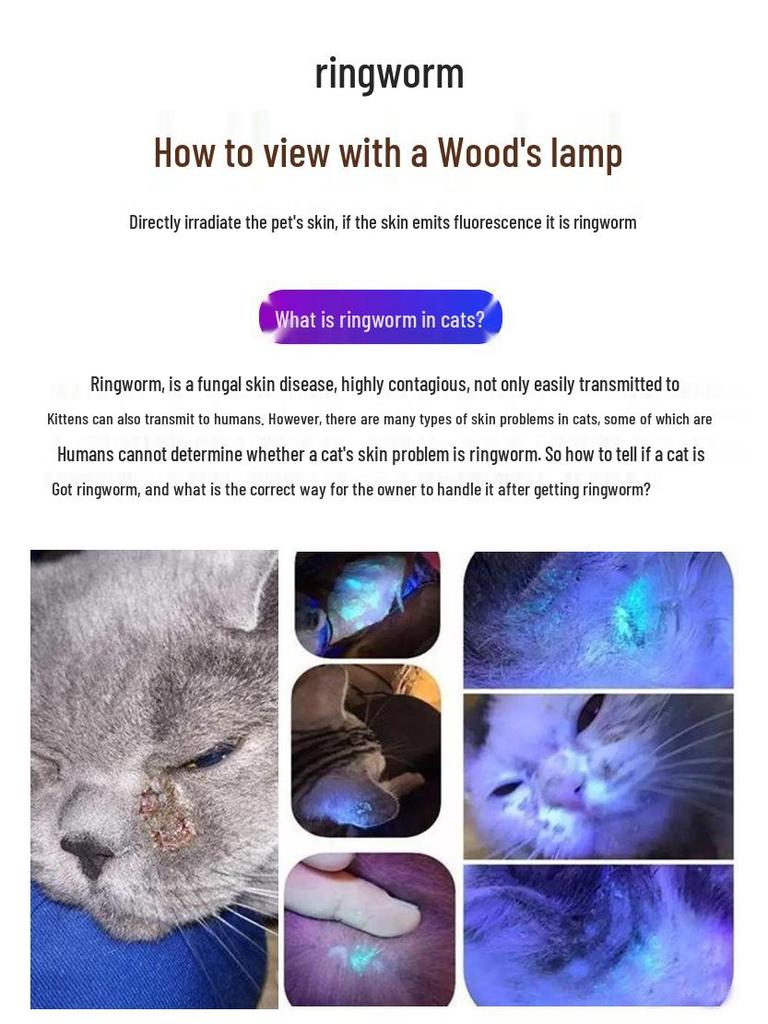 365UV Blacklight Cat Ringworm & Urine Detector - Ultraviolet Wood's Lamp for Fluorescent Detection
