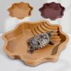 Reptile Bathing Pool Large Tortoise Feeding Dish Water Bowl with Ramp Aquarium