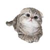 Ubia Crouching Scottish Fold с подвесными ушками 15 xx 8 Garden H24083, серый, 8,5 см, кукла, фигурка, украшение, животное, украшение, кошка,