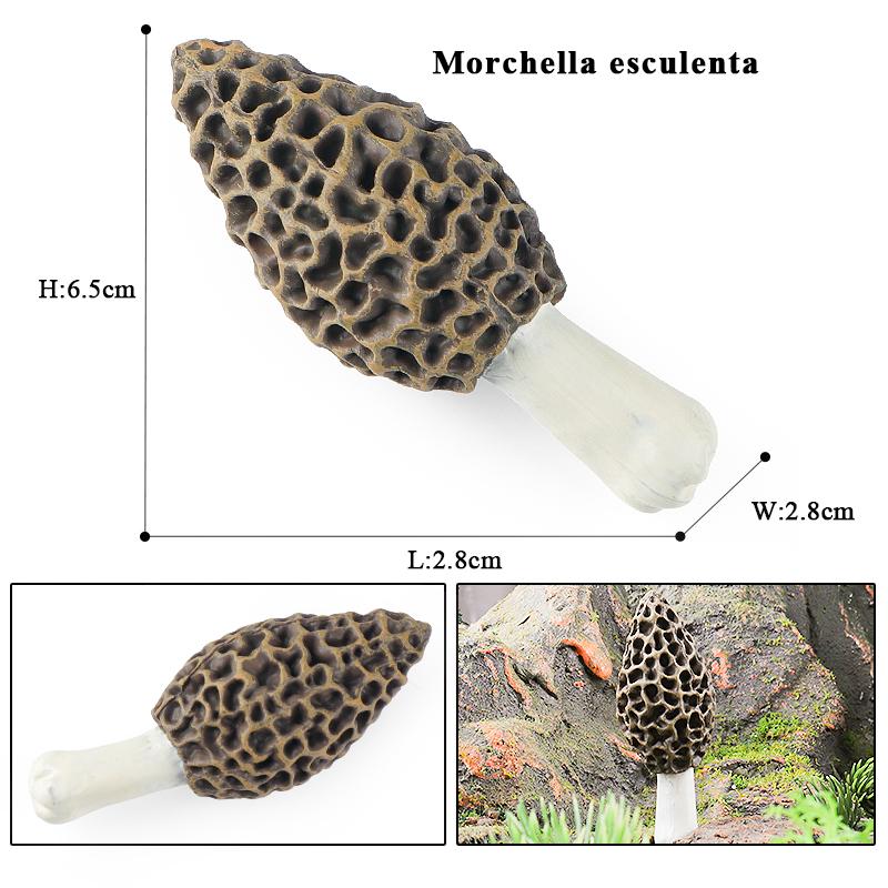 Oenux Игрушка для ролевых игр Милые фрукты Овощи Модель гриба Топперы для торта Еда Жуэ Семейное веселье Раннее образование для детей Подарок