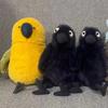 20 см Jellycat Арубанский Кокосовый Лимонад Мягкие Плюшевые Игрушки Украшение Комнаты Кукла Кошка Собака Идеальные Товары для Питомцев Хэллоуин Рождественский Подарок