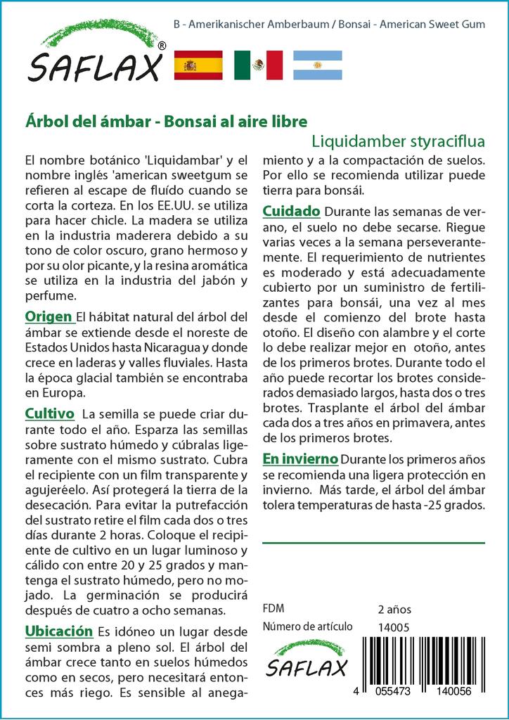 SAFLAX Garden in the Bag - Бонсай - American Sweet Gum - 100 семян - С субстратом в подходящем пакете - Liquidamber styraciflua