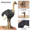 Детская развивающая игрушка: Модели: Африканский Страус, Дятел, Орел, Сова, Попугай, Беркут