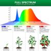 USB Plant Grow Light With Circular Memory Timing Function 8H 12H 16H Timer Modes For Indoor Plant