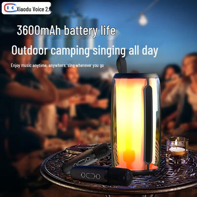 Bluetooth-динамик для караоке Newmine M18 AI, штекер CN (адаптер в комплекте)