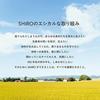 SHIRO White Tea Fragrance Diffuser Liquid (300mL approximately 3 months) Room (refill + sticks)