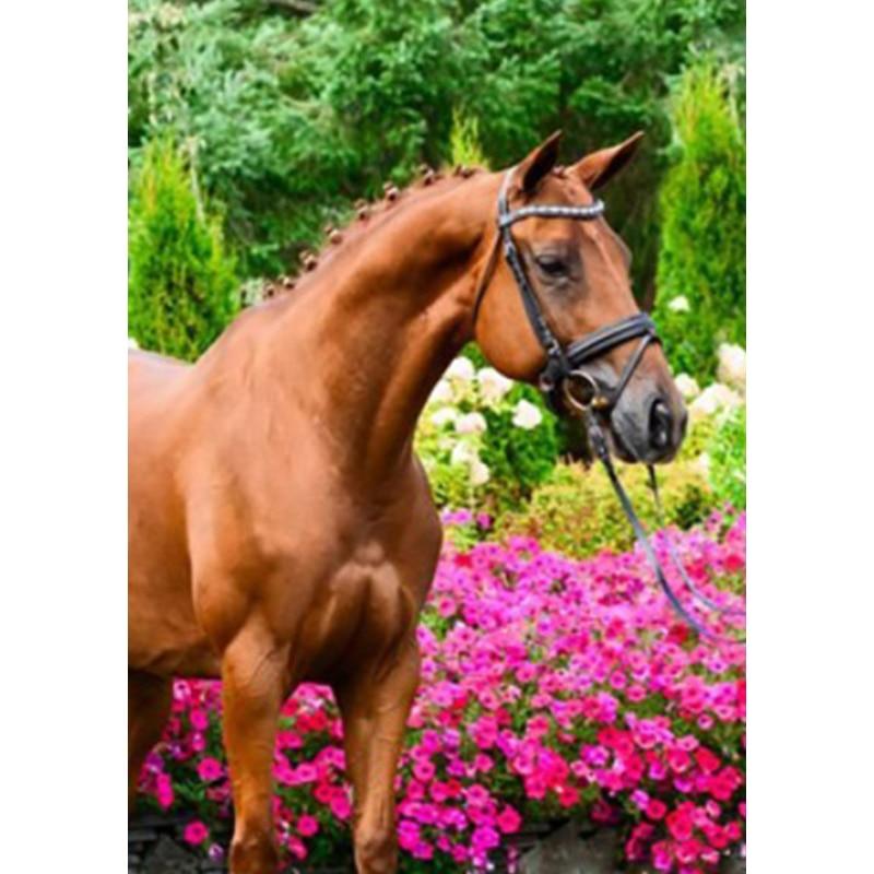 Новый 5D DIY пейзаж алмазная живопись Лошадь Алмазная вышивка животное вышивка крестиком полная круглая дрель домашний декор ручной подарок