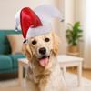 Breathable Pet Joker Hat Adjustable Dog Party Hat Pet Supplies Pet Dog Clown Hat  Festival