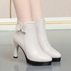 Модные CINESSD Белые Черные Ботильоны на Высоком Каблуке Женские 2025 Заостренный Носок Сохраняют Тепло Элегантные Короткие Ботильоны Женские Украшение Пряжкой на Щиколотке