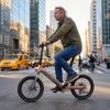 MAXTRON Smart-30 20-дюймовый складной электровелосипед с ассистентом, аккумулятор 36 В 9,6 Ач, мощность 250 Вт, максимальный запас хода до 50 км.