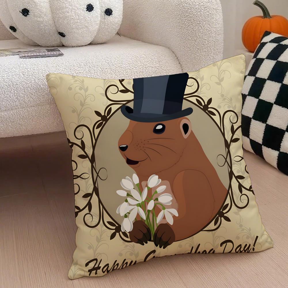 Happy Groundhog Day PPunxsutawney Phil Cushion Cover Throw Pillow Cover Hidden Button Durable Polyester Chair Cushion