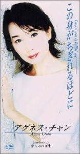 CD АГНЕС ЧАН, ТОЁХИСА АРАКИ, МЕГУМИ - Kono mi ga chigireru hodo ni-Lovin Japan Японская поп/рок Б/У