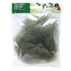 KATO Diorama Supplies Fiber Plants Green 24-553 Railway Model Supplies