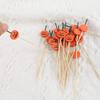 100pcs Natural Material Halloween Pumpkin Bamboo Skewers Smooth Surface Toothpick  Fruit