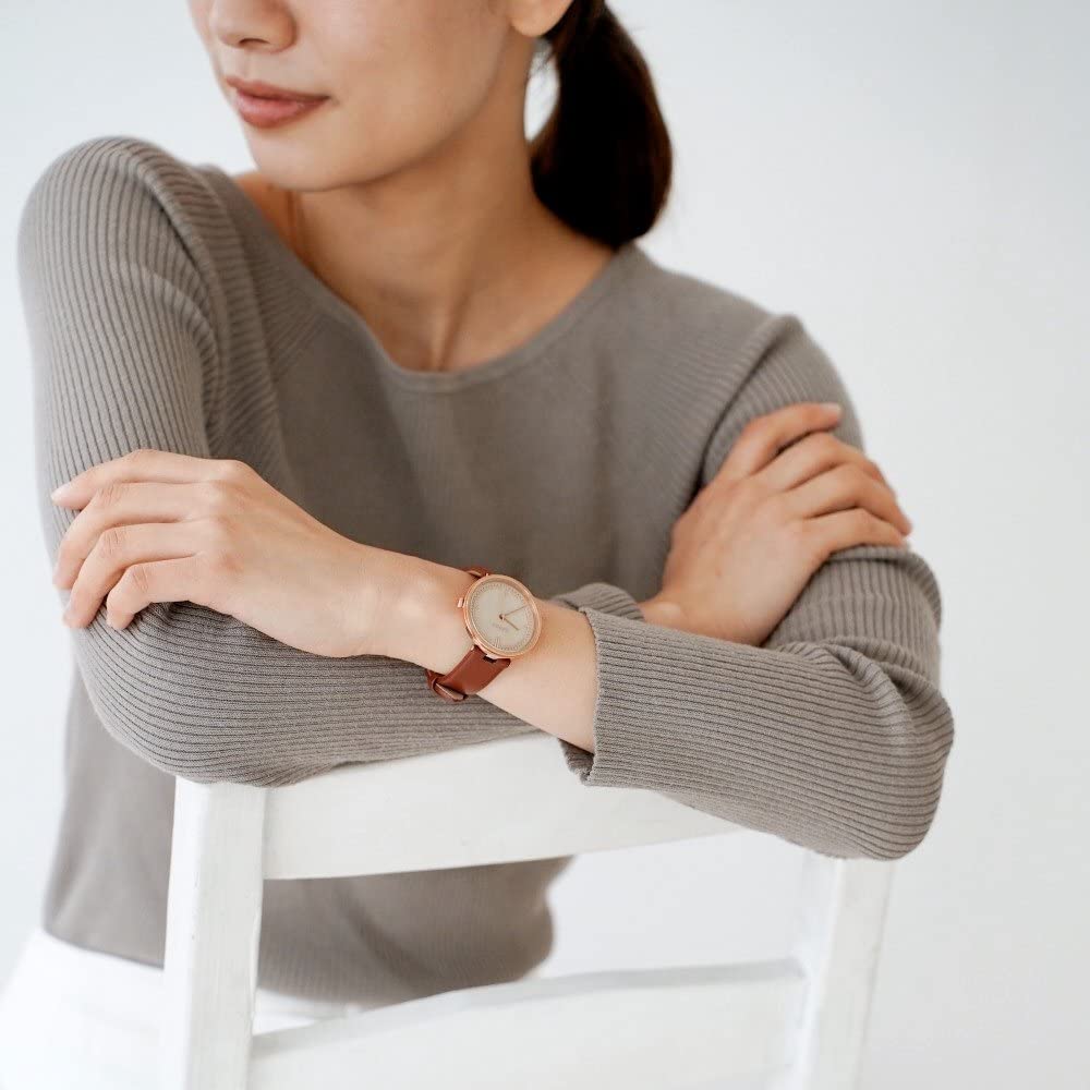 Watch AGNES 1733h Japan Limited Model Ladies [Breda]