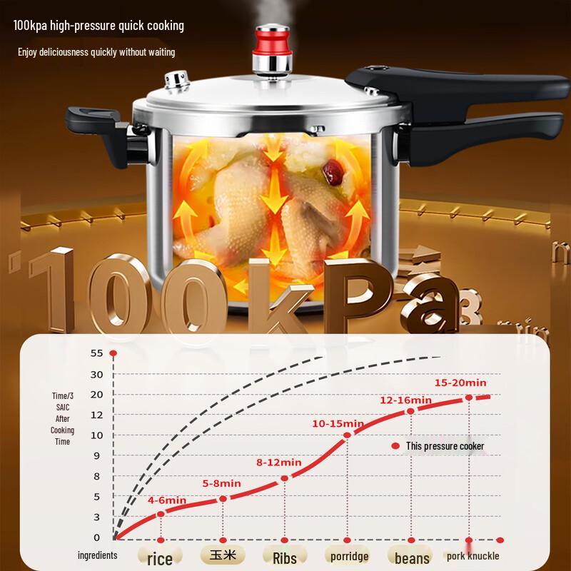 OLOEY Индукционная скороварка из нержавеющей стали 316L, 4 л